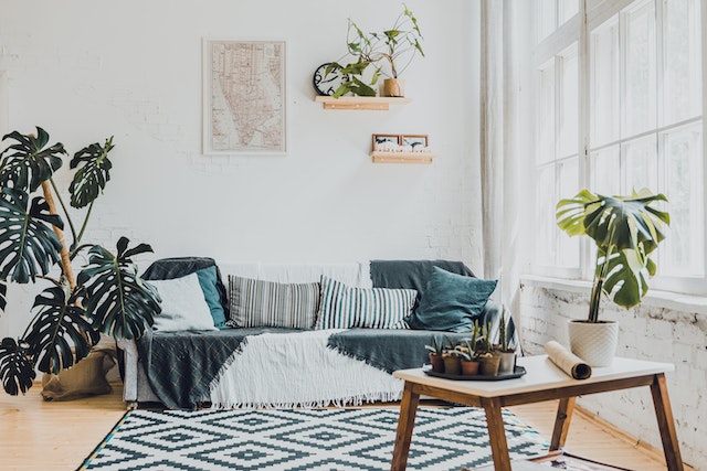 living room with grey couch and blue throw pillows and house plants on either side